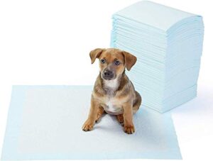 Productos Para Mascotas Opiniones Verificadas De Otros Usuarios Este Mes