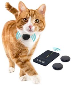 Gps Para Gatos Pequeños Opiniones Reales De Otros Usuarios Este Mes