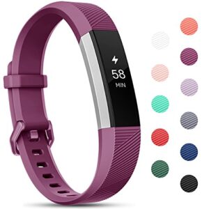 ¿necesitas Pulseras Fitbit Alta Hr Baratos Mejor Precio Online