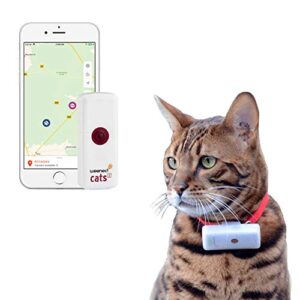 Comprar Gps Para Gatos Sin Subscripción Con Envío Gratis A La Puerta De Tu Casa En Toda España